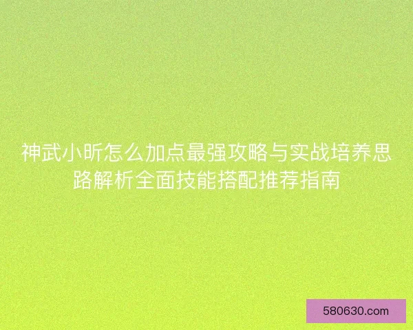 神武小昕怎么加点最强攻略与实战培养思路解析全面技能搭配推荐指南
